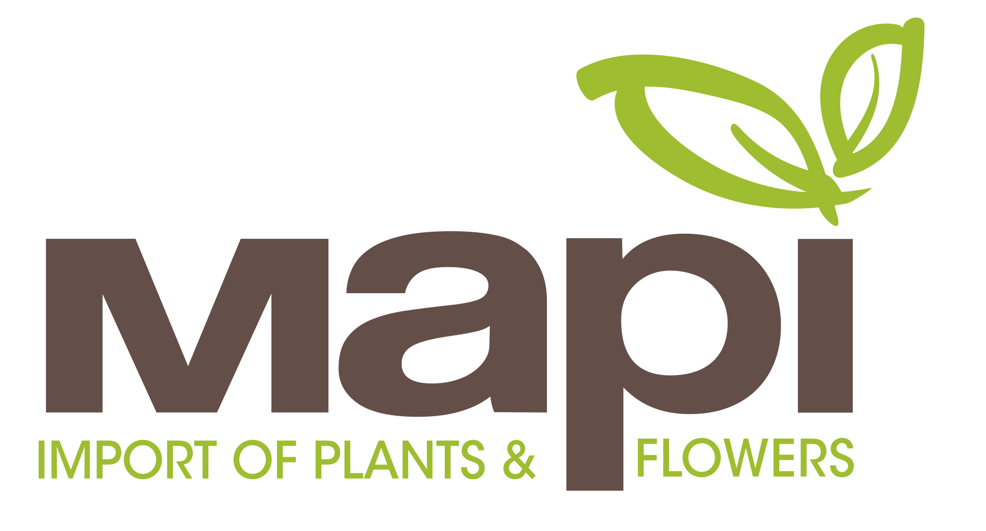 Logo Mapi srl
